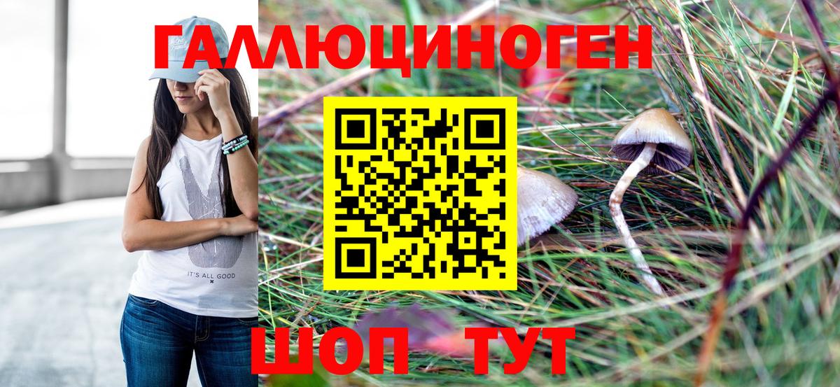 Галлюциногенные грибы прущие грибы Новошахтинск