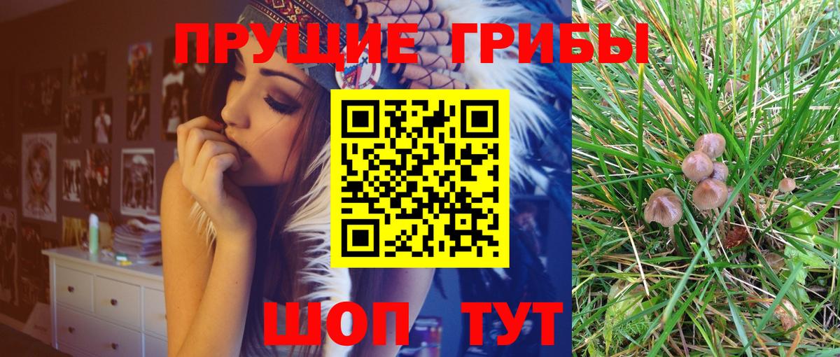 Галлюциногенные грибы ЛСД Новошахтинск