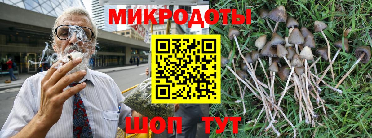 Псилоцибиновые грибы GOLDEN TEACHER  Вход с VPN  закладка  Новошахтинск 