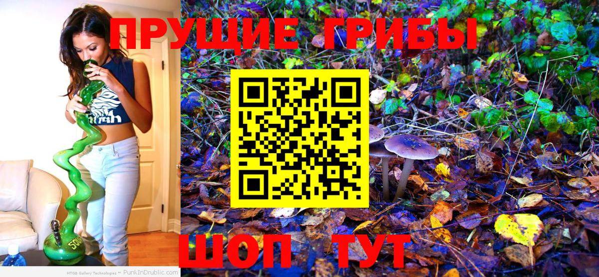 Псилоцибиновые грибы мицелий  Новошахтинск 