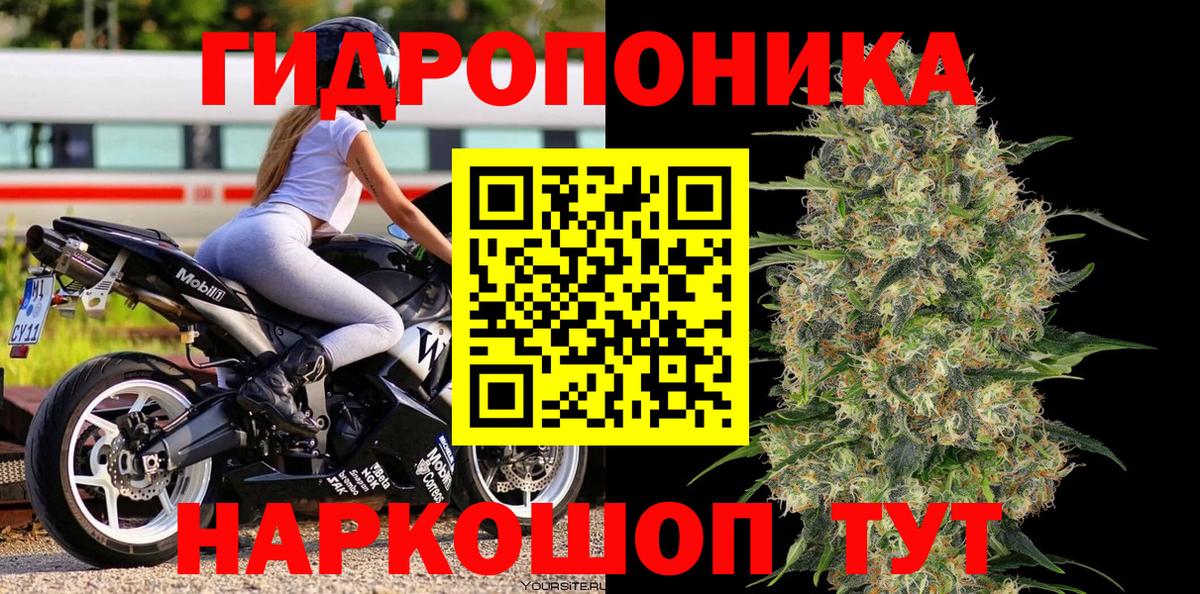 Бошки Шишки планчик Новошахтинск